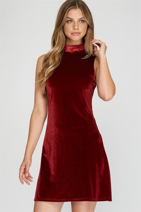 Holiday Cheer Red Velvet Dress