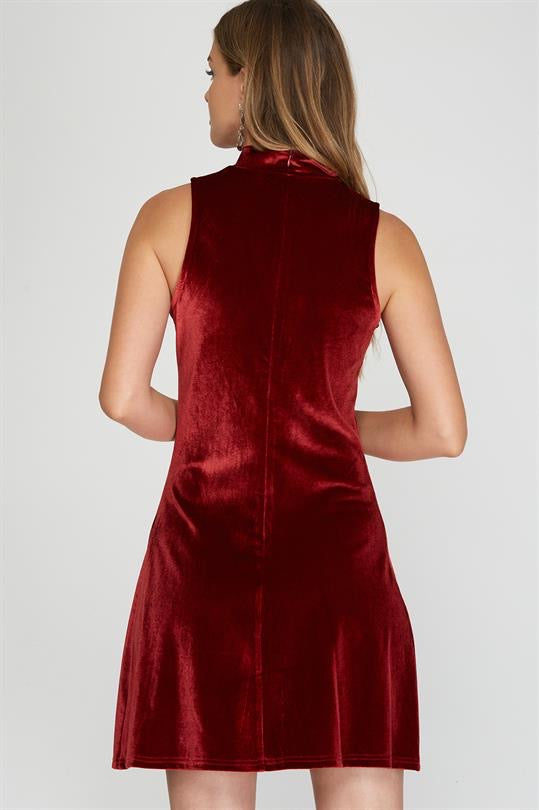 Holiday Cheer Red Velvet Dress