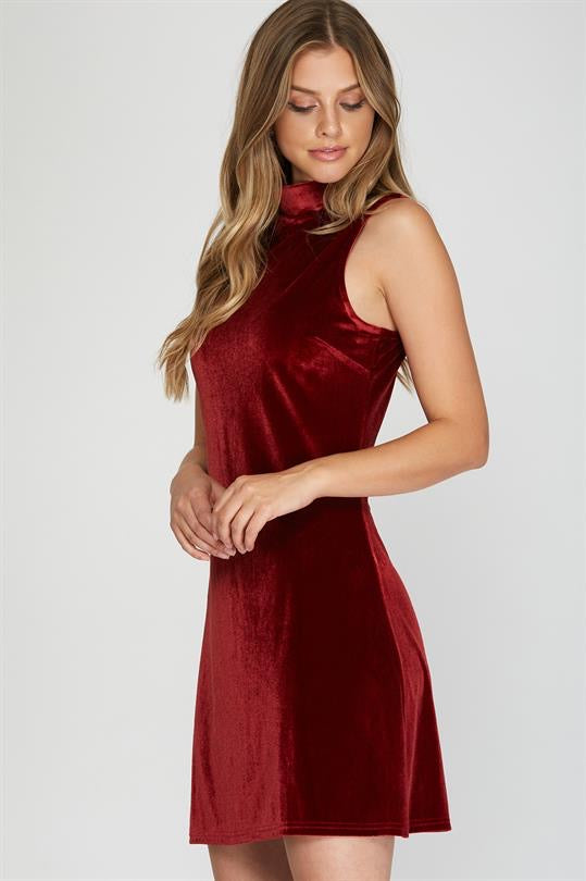 Holiday Cheer Red Velvet Dress